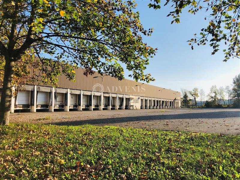 ADVENIS CONSEIL STRASBOURG LOCATION-ENTREPOT-STRASBOURG-67