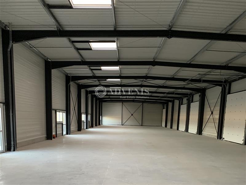 ADVENIS CONSEIL BLOIS LOCATION-LOCAL D'ACTIVITE-LE_CONTROIS_EN_SOLOGNE-41