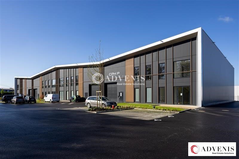ADVENIS CONSEIL LILLE LOCATION-ENTREPOT-NEUVILLE_EN_FERRAIN-59