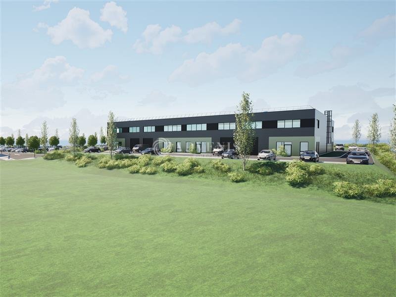 ADVENIS CONSEIL STRASBOURG VENTE-LOCAL D'ACTIVITE-TRUCHTERSHEIM-67