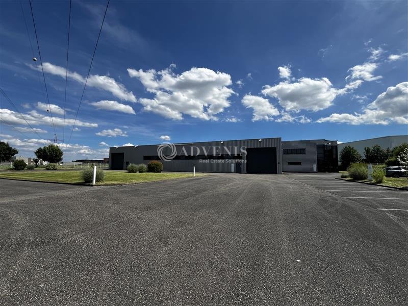 ADVENIS CONSEIL STRASBOURG LOCATION-LOCAL D'ACTIVITE-HOLTZHEIM-67
