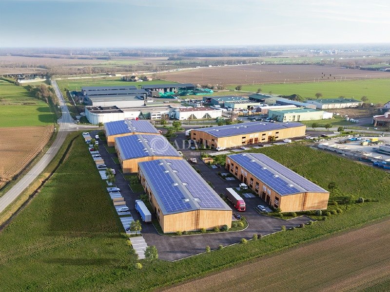 ADVENIS CONSEIL STRASBOURG VENTE-LOCAL D'ACTIVITE-SAINT_HIPPOLYTE-68