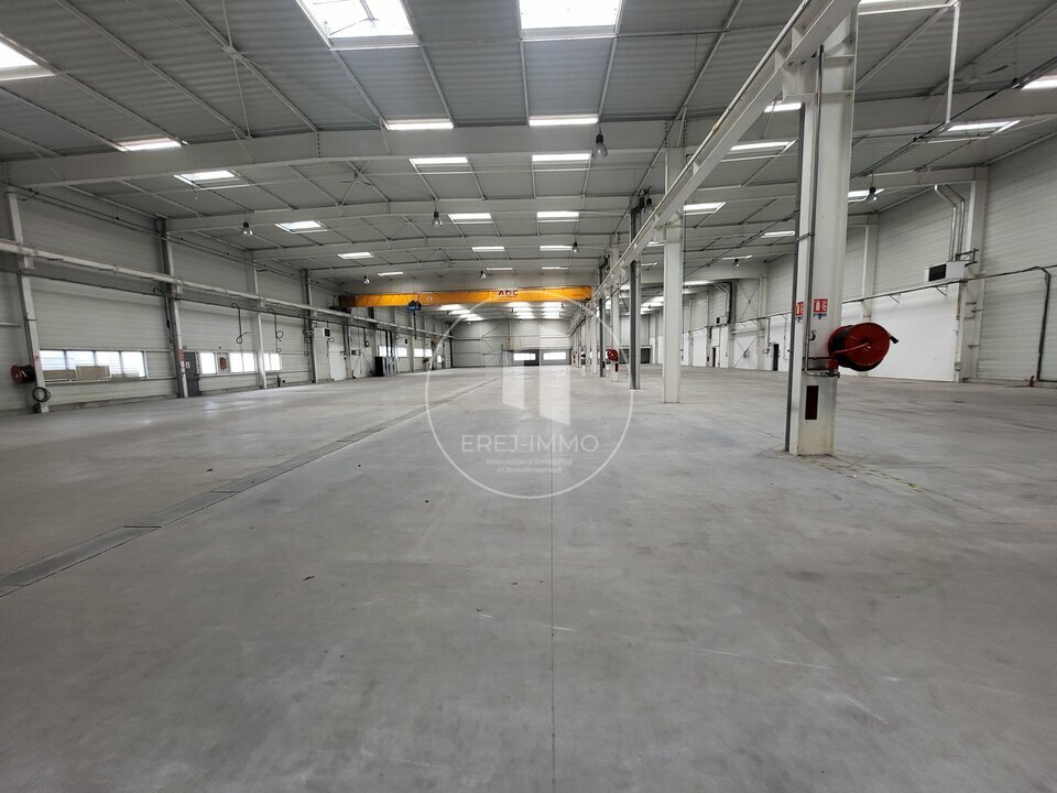 EREJ IMMO LOCATION-LOCAL D'ACTIVITE-LE_MANS-72