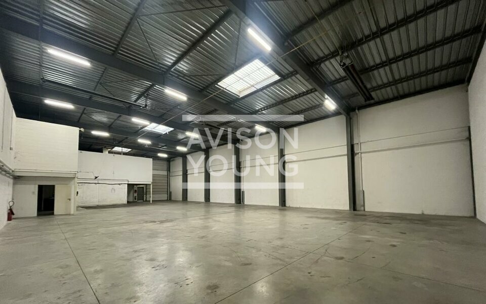 AVISON YOUNG LOCATION-LOCAL D'ACTIVITE-MASSY-91