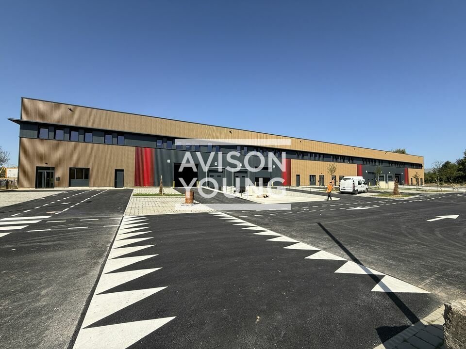 AVISON YOUNG LOCATION-LOCAL D'ACTIVITE-MITRY-MORY-77