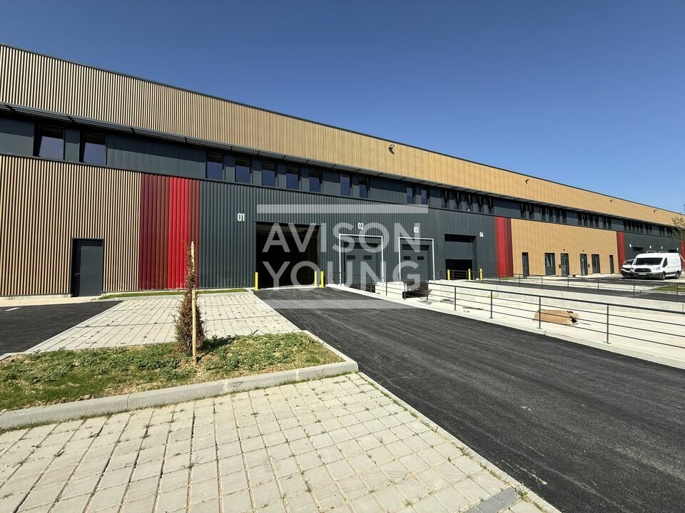 AVISON YOUNG LOCATION-LOCAL D'ACTIVITE-MITRY-MORY-77