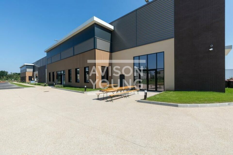 AVISON YOUNG LOCATION-LOCAL D'ACTIVITE-SUCY-EN-BRIE-94