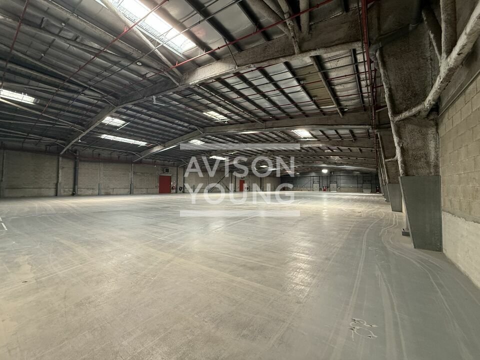 AVISON YOUNG LOCATION-LOCAL D'ACTIVITE-COMPANS-77