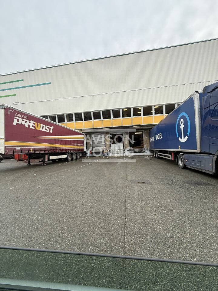 AVISON YOUNG LOCATION-LOCAL D'ACTIVITE-ROSNY-SOUS-BOIS-93