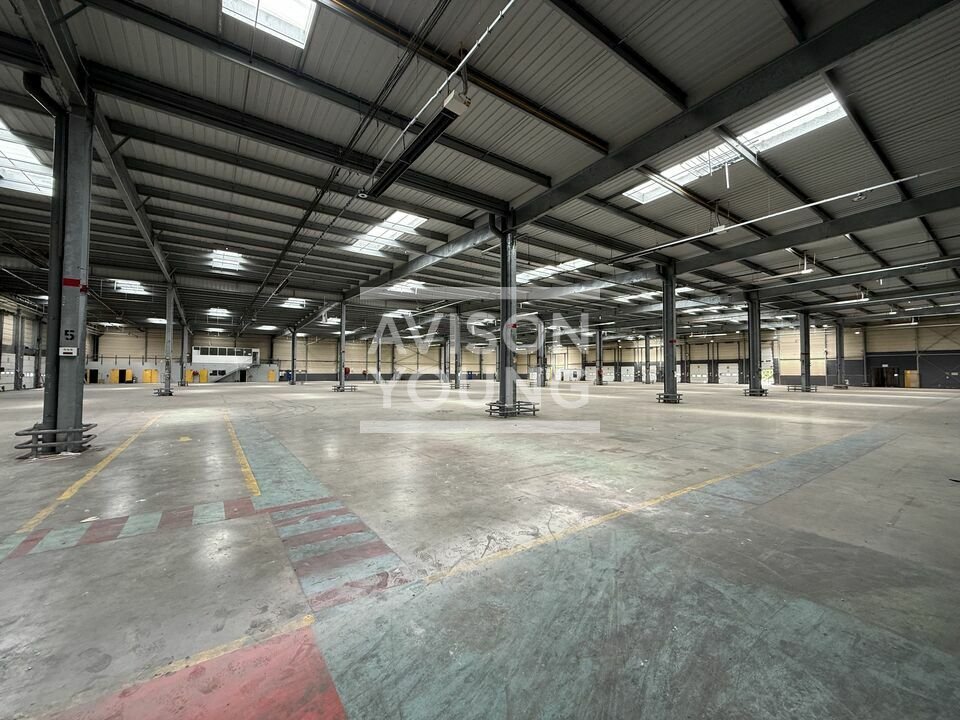 AVISON YOUNG LOCATION-LOCAL D'ACTIVITE-MITRY-MORY-77