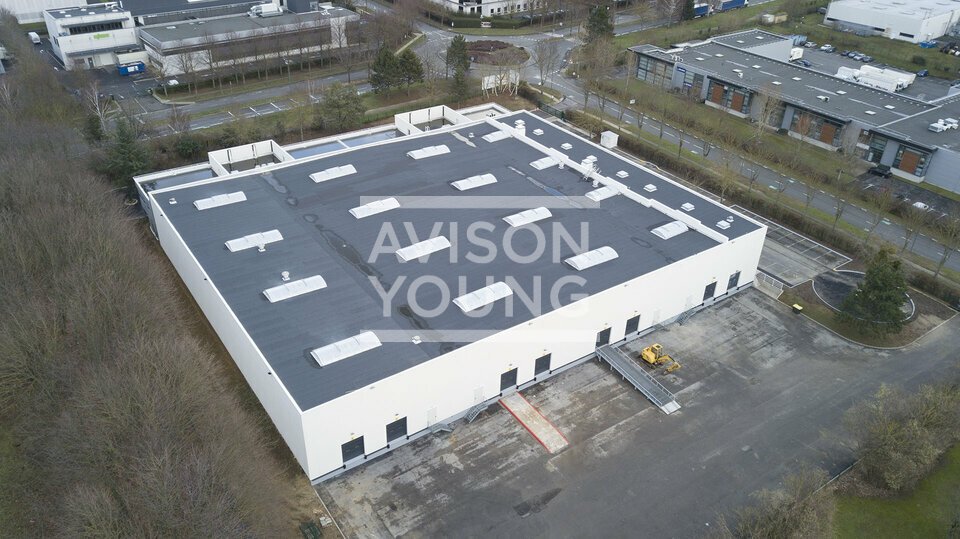 AVISON YOUNG LOCATION-LOCAL D'ACTIVITE-TREMBLAY-EN-FRANCE-93