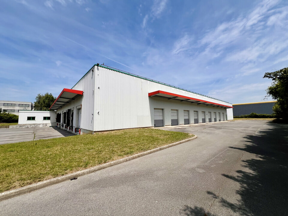 AVISON YOUNG LOCATION-LOCAL D'ACTIVITE-MITRY-MORY-77