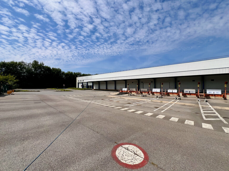 AVISON YOUNG LOCATION-LOCAL D'ACTIVITE-FERRIERES-EN-BRIE-77