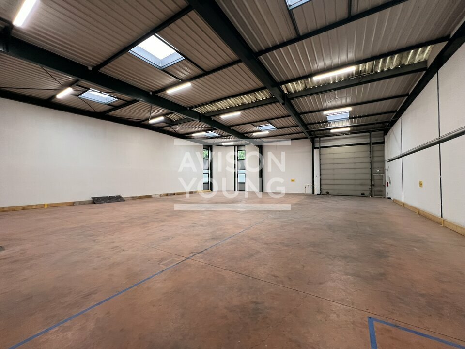 AVISON YOUNG LOCATION-LOCAL D'ACTIVITE-VILLEPINTE-93