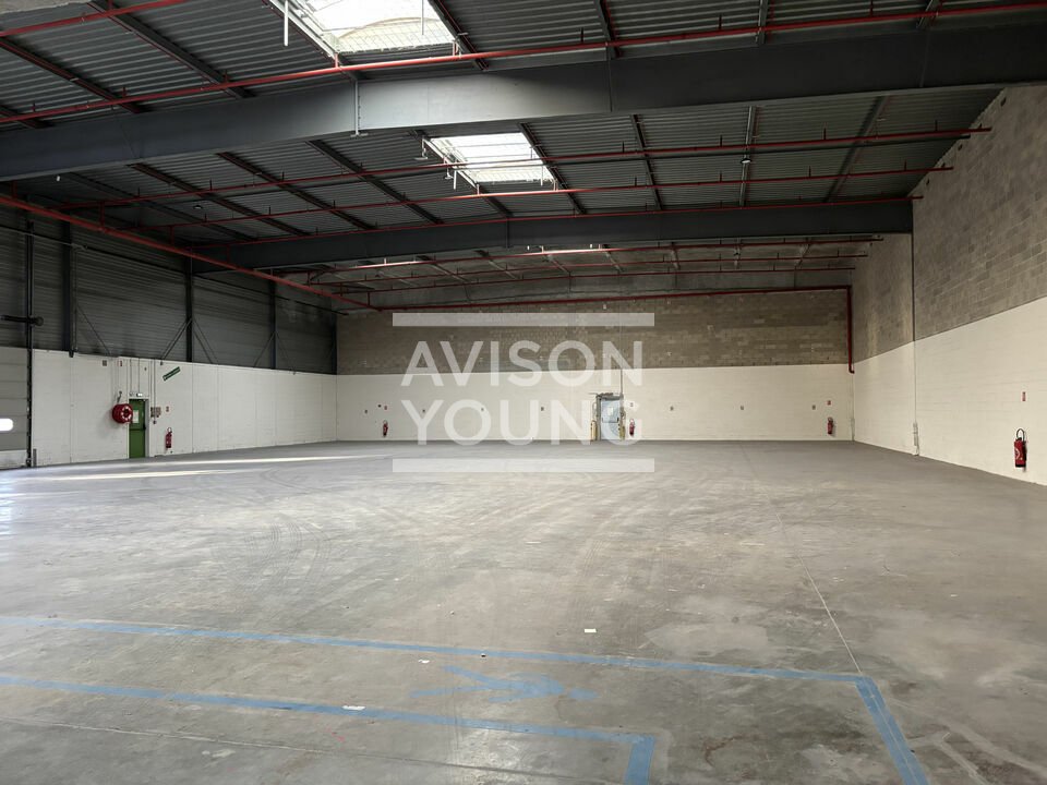 AVISON YOUNG LOCATION-LOCAL D'ACTIVITE-STAINS-93