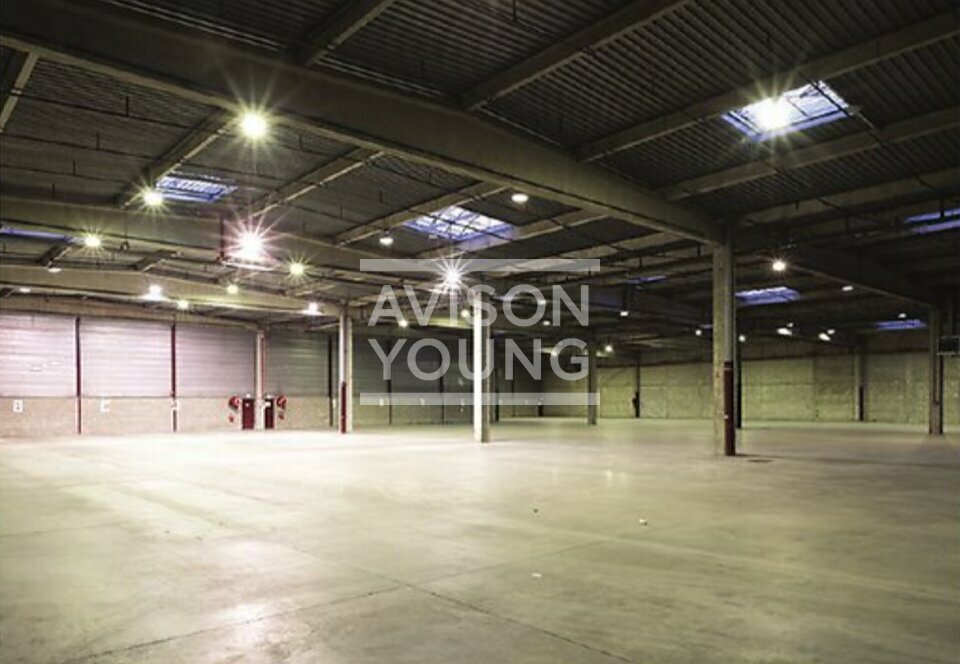 AVISON YOUNG LOCATION-LOCAL D'ACTIVITE-SAINT-DENIS-93