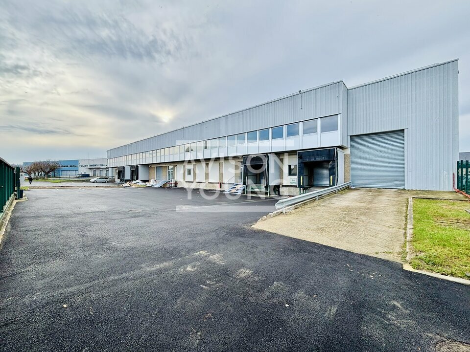 AVISON YOUNG LOCATION-LOCAL D'ACTIVITE-SUCY-EN-BRIE-94