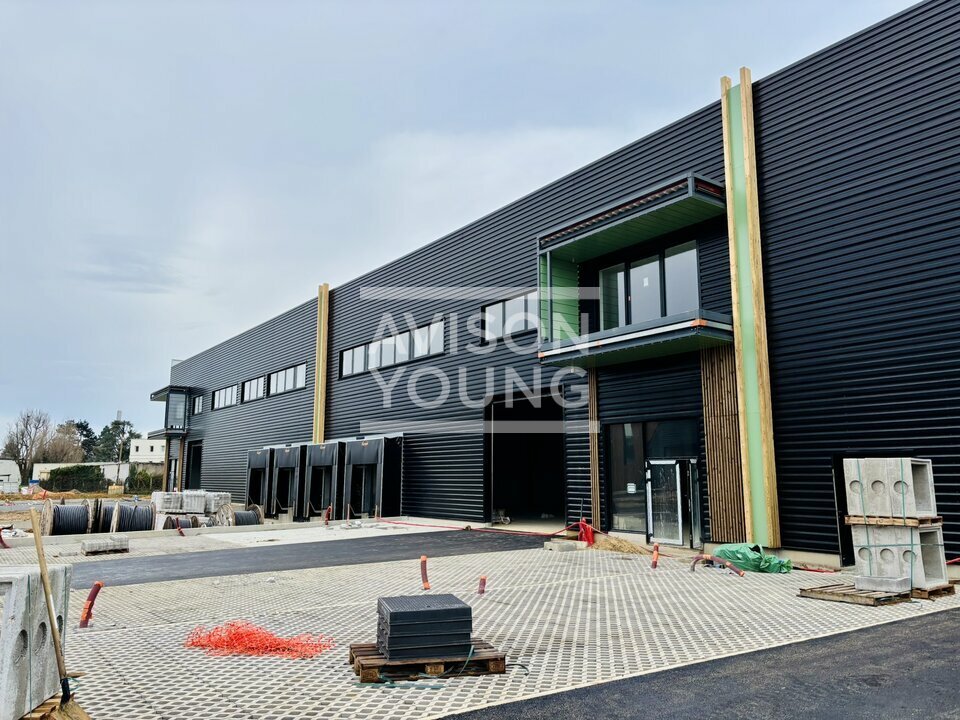 AVISON YOUNG LOCATION-LOCAL D'ACTIVITE-LA_QUEUE-EN-BRIE-94