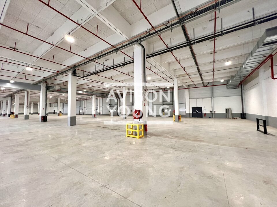 AVISON YOUNG LOCATION-LOCAL D'ACTIVITE-GENNEVILLIERS-92