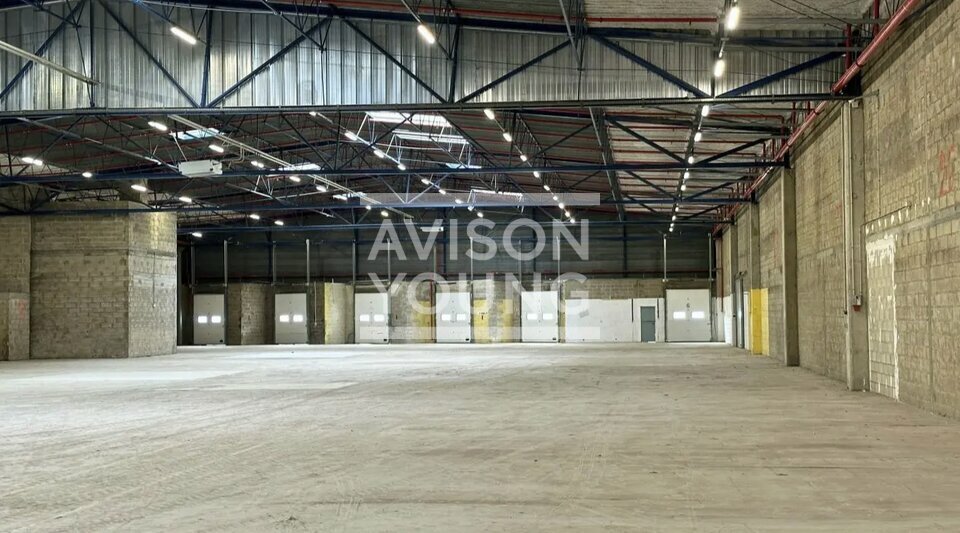 AVISON YOUNG LOCATION-LOCAL D'ACTIVITE-PANTIN-93