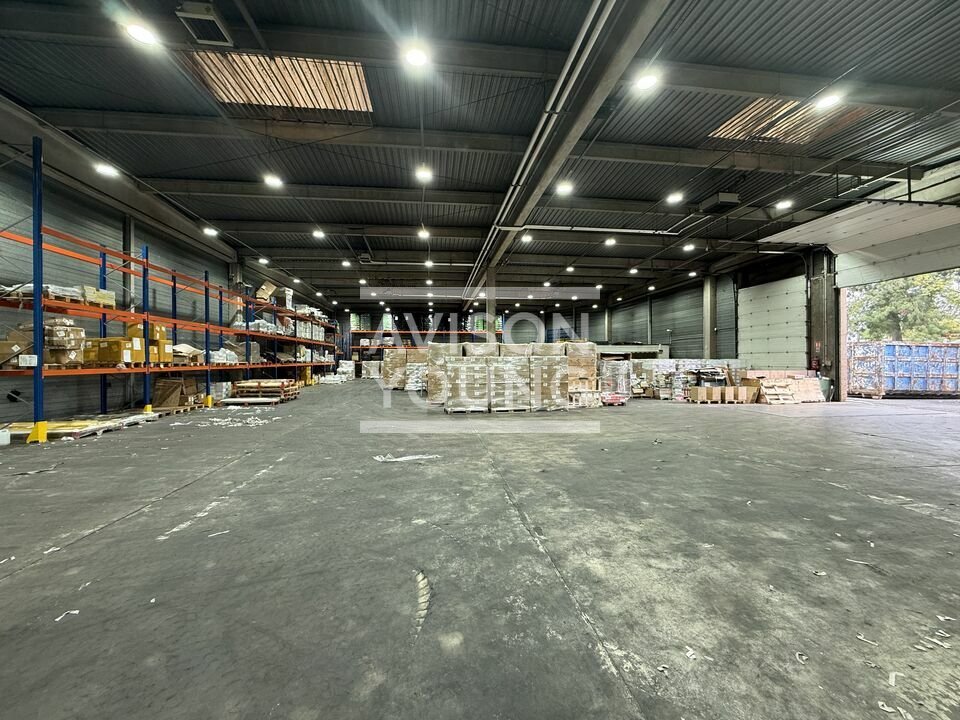 AVISON YOUNG LOCATION-LOCAL D'ACTIVITE-GONESSE-95