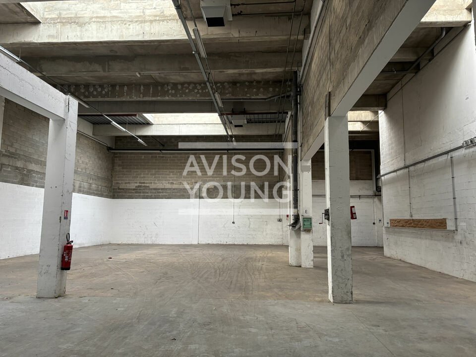 AVISON YOUNG LOCATION-LOCAL D'ACTIVITE-AULNAY-SOUS-BOIS-93
