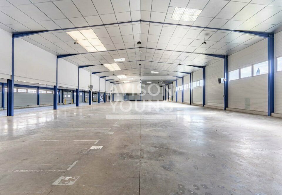 AVISON YOUNG LOCATION-LOCAL D'ACTIVITE-BEZONS-95