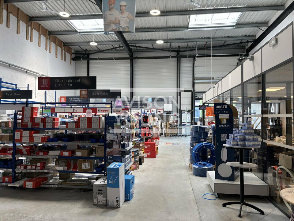 AVISON YOUNG LOCATION-LOCAL D'ACTIVITE-VILLEBON-SUR-YVETTE-91
