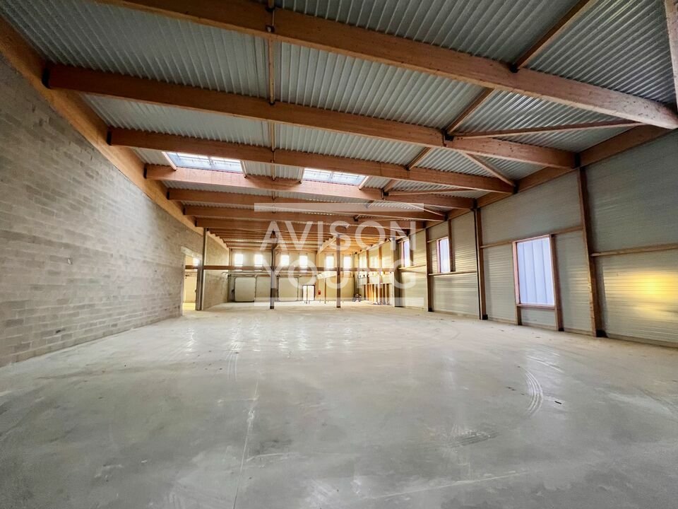 AVISON YOUNG LOCATION-LOCAL D'ACTIVITE-PUISEUX_EN_FRANCE-95