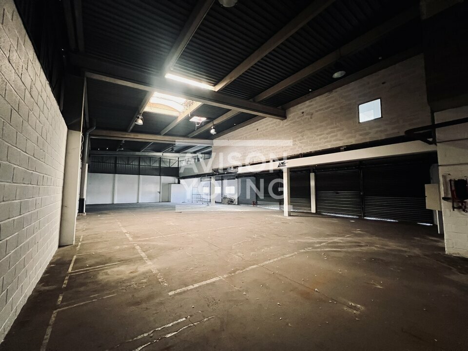 AVISON YOUNG LOCATION-LOCAL D'ACTIVITE-AULNAY-SOUS-BOIS-93