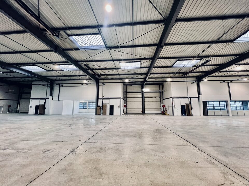 AVISON YOUNG LOCATION-LOCAL D'ACTIVITE-LA_COURNEUVE-93