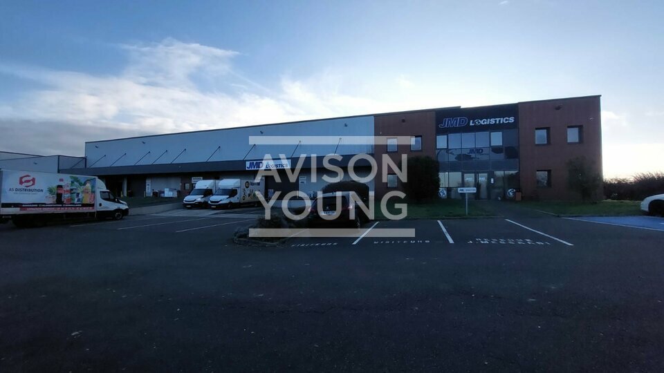 AVISON YOUNG LOCATION-LOCAL D'ACTIVITE-LOUVRES-95