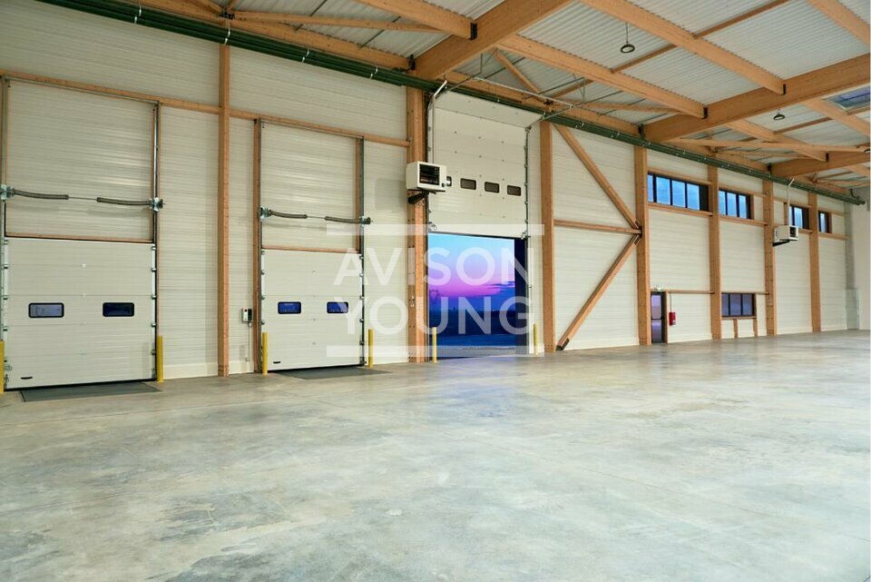 AVISON YOUNG LOCATION-LOCAL D'ACTIVITE-LOUVRES-95