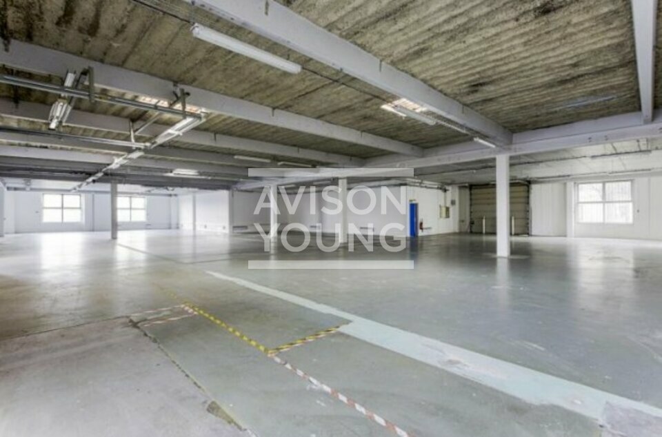 AVISON YOUNG LOCATION-LOCAL D'ACTIVITE-GENNEVILLIERS-92