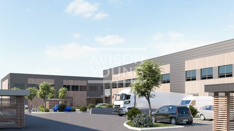 AVISON YOUNG LOCATION-LOCAL D'ACTIVITE-TRAPPES-78