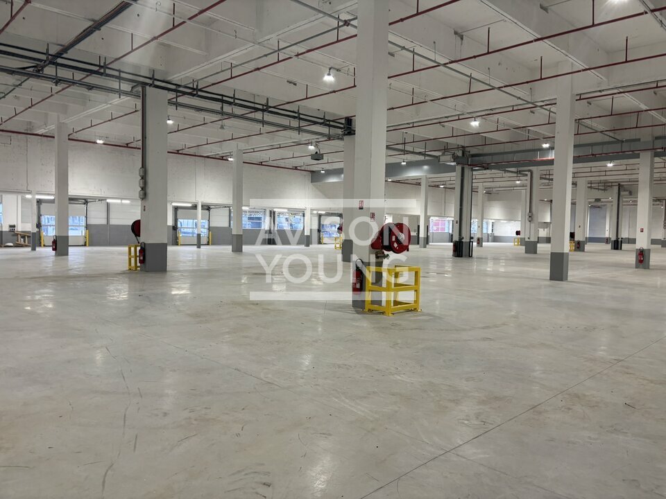 AVISON YOUNG LOCATION-LOCAL D'ACTIVITE-GENNEVILLIERS-92