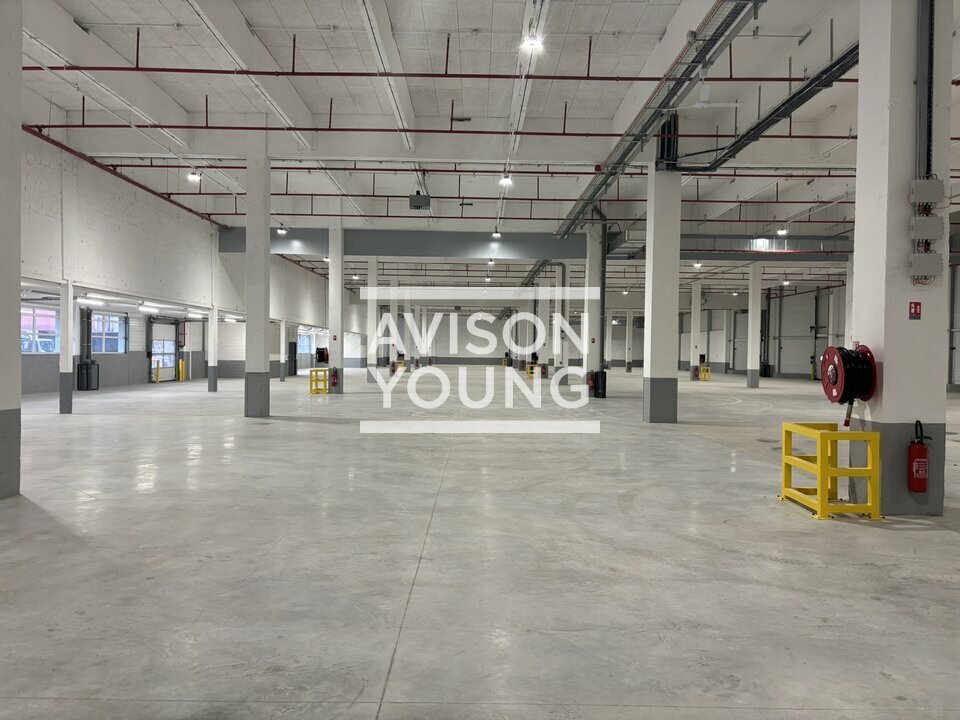 AVISON YOUNG LOCATION-LOCAL D'ACTIVITE-GENNEVILLIERS-92