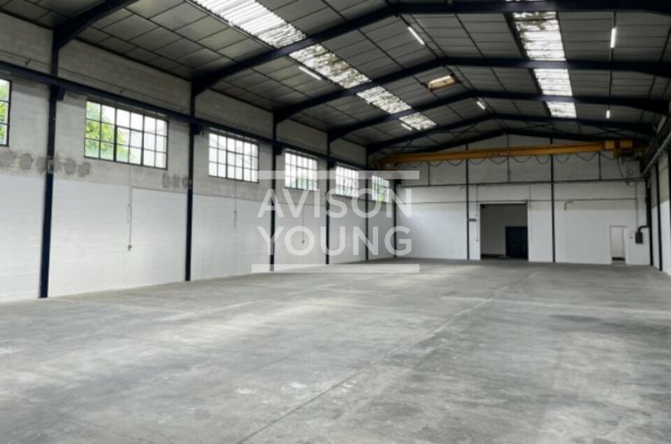 AVISON YOUNG LOCATION-LOCAL D'ACTIVITE-MORANGIS-91