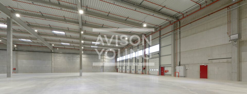 AVISON YOUNG LOCATION-LOCAL D'ACTIVITE-LE_THILLAY-95