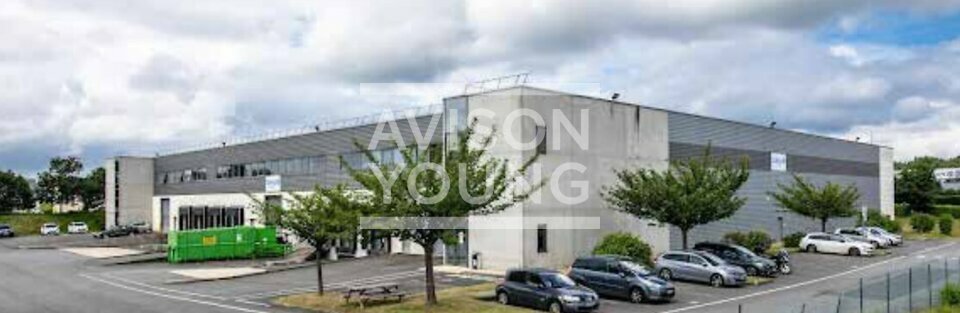 AVISON YOUNG LOCATION-LOCAL D'ACTIVITE-LIEUSAINT-77