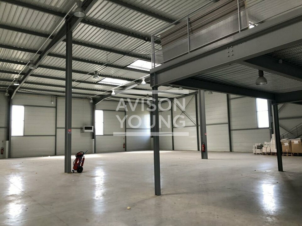 AVISON YOUNG LOCATION-LOCAL D'ACTIVITE-LIEUSAINT-77