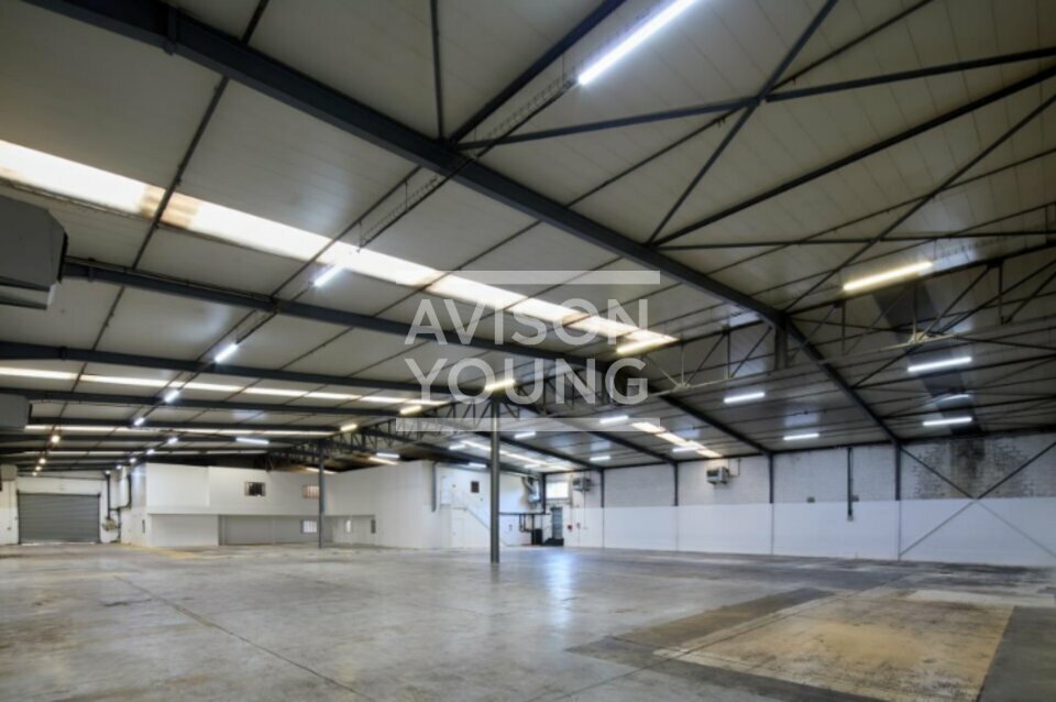 AVISON YOUNG LOCATION-LOCAL D'ACTIVITE-MORANGIS-91