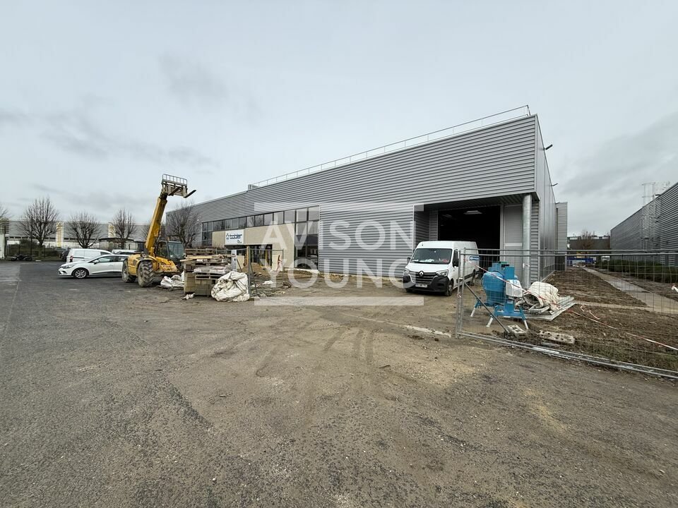 AVISON YOUNG LOCATION-LOCAL D'ACTIVITE-LE_MESNIL_AMELOT-77