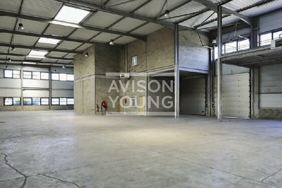 AVISON YOUNG LOCATION-LOCAL D'ACTIVITE-ELANCOURT-78
