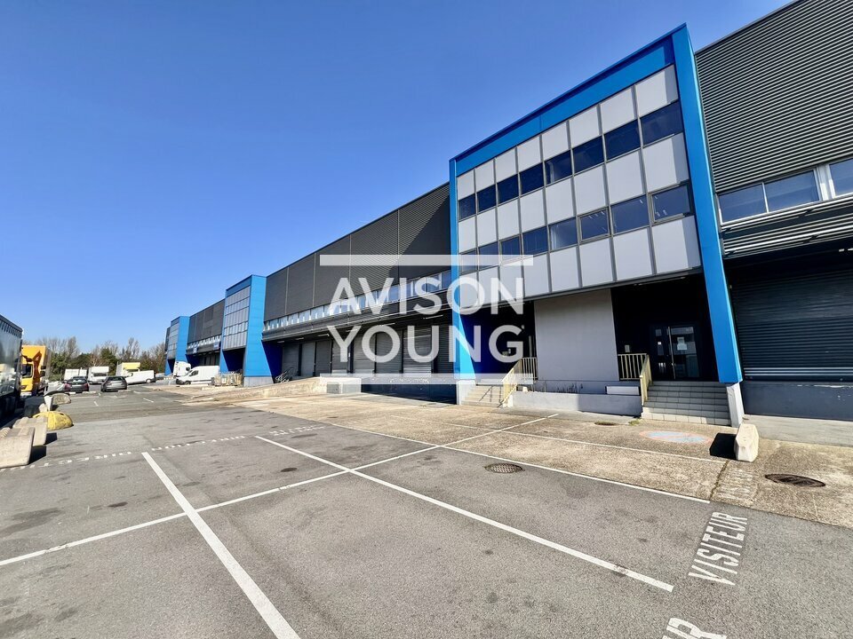 AVISON YOUNG LOCATION-LOCAL D'ACTIVITE-AULNAY-SOUS-BOIS-93