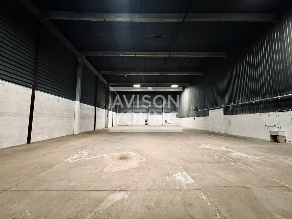 AVISON YOUNG LOCATION-LOCAL D'ACTIVITE-AULNAY-SOUS-BOIS-93