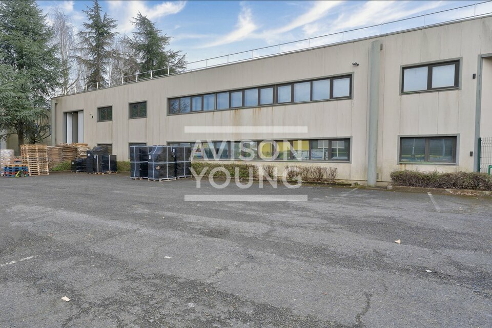 AVISON YOUNG LOCATION-LOCAL D'ACTIVITE-PONTAULT-COMBAULT-77