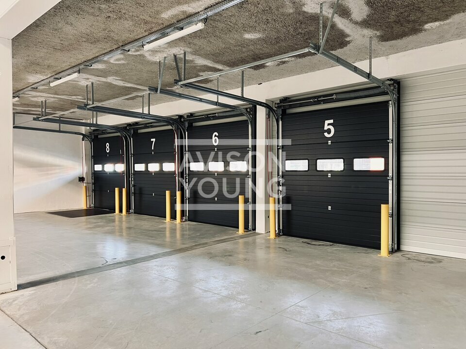 AVISON YOUNG LOCATION-LOCAL D'ACTIVITE-AULNAY-SOUS-BOIS-93