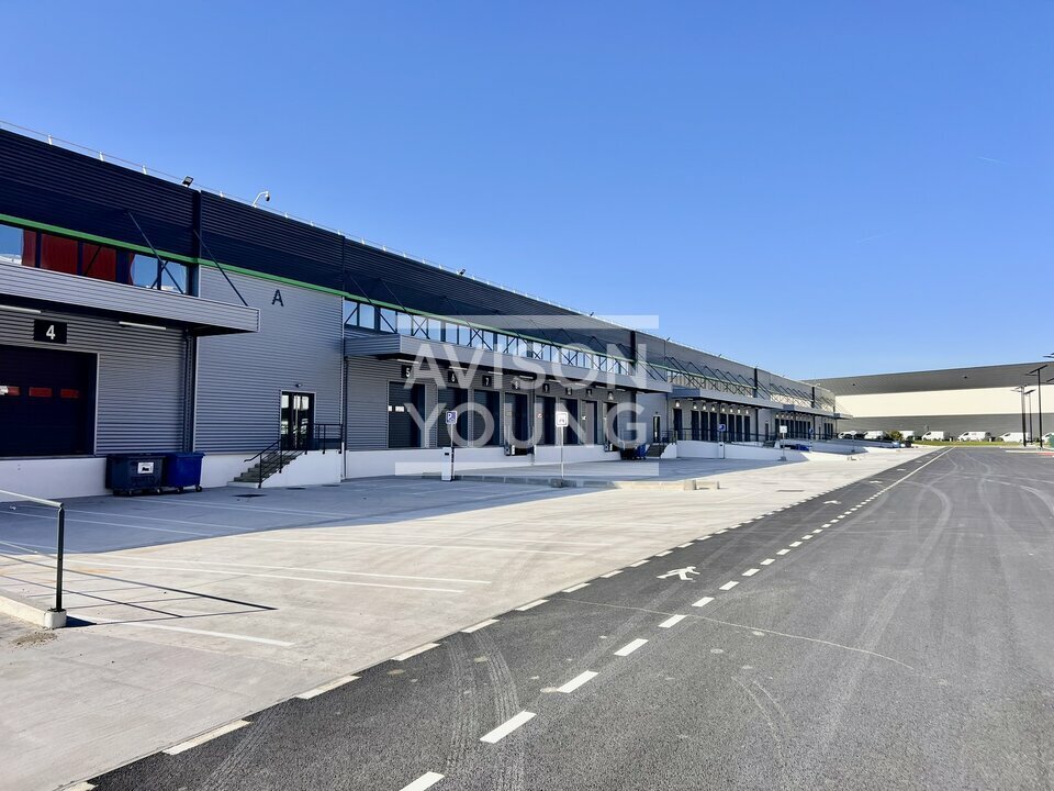 AVISON YOUNG LOCATION-LOCAL D'ACTIVITE-AULNAY-SOUS-BOIS-93