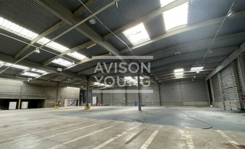AVISON YOUNG LOCATION-LOCAL D'ACTIVITE-SUCY-EN-BRIE-94